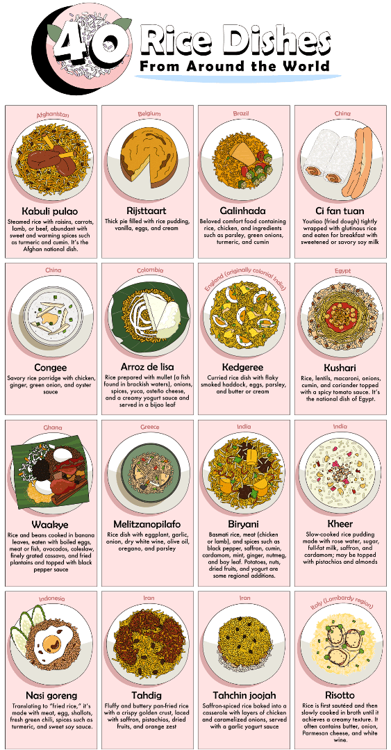 rice-dishes-around-world