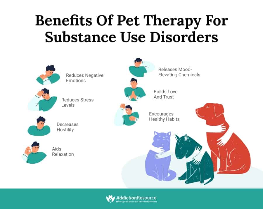 Benefits-of-Pet-Therapy-for-Substance-Use-Disorders-min